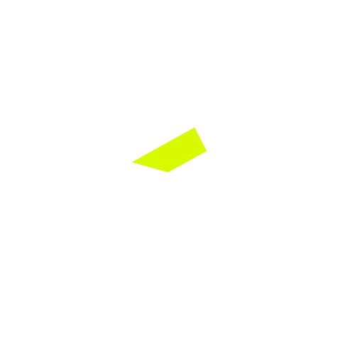 DEBARQUE®